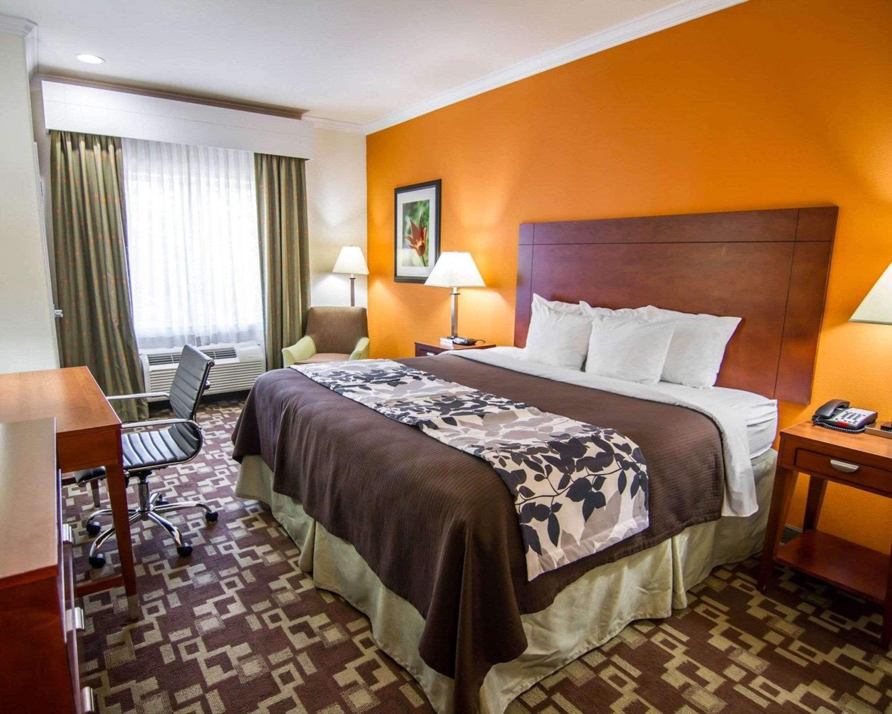 A hotel room with a large bed, a desk, a chair, two lamps, and a telephone on the nightstand.