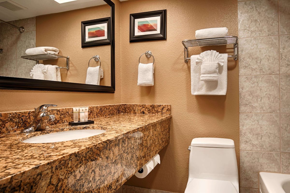Une salle de bain avec un lavabo en granit, des toilettes, une baignoire et deux tableaux encadrés au mur.