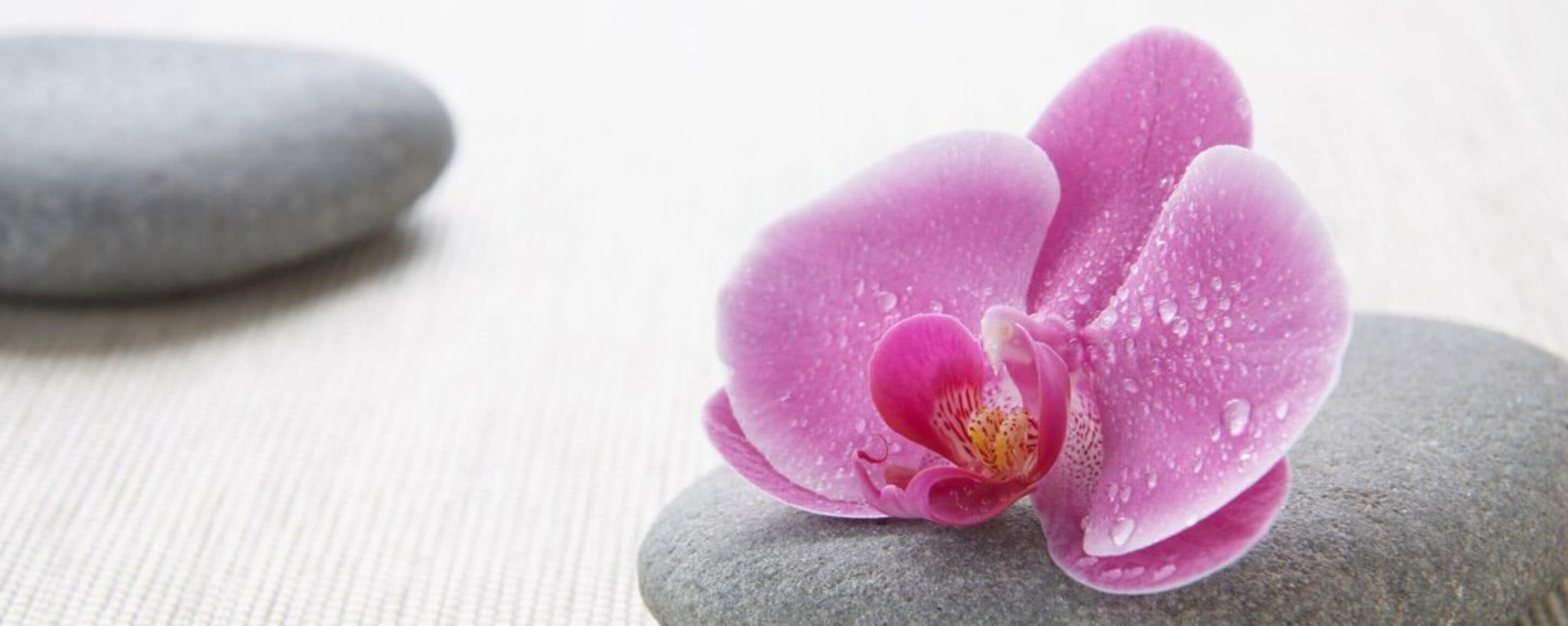 couples treatment room(s), steam room, body treatments, hydrotherapy