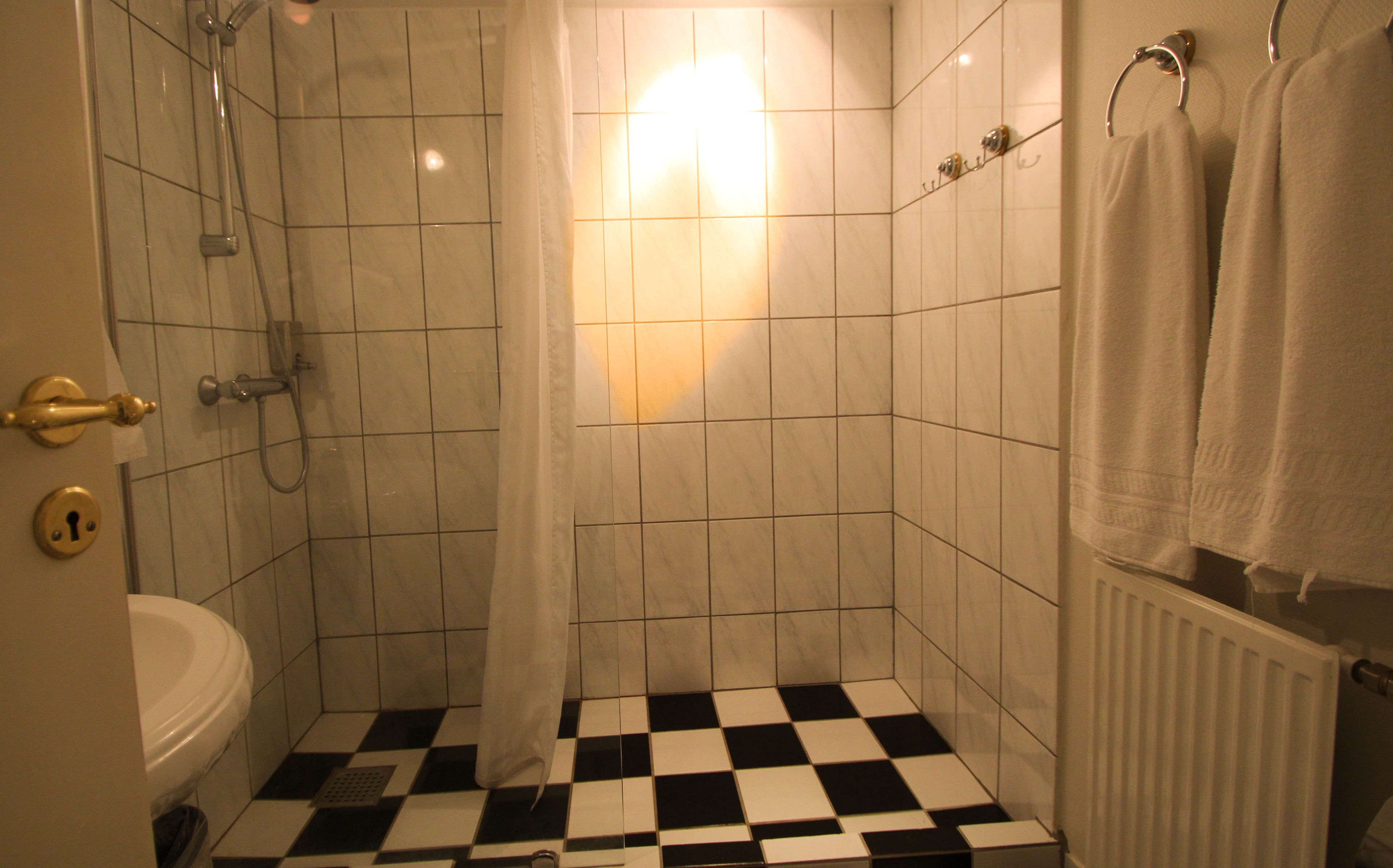 A small bathroom with a toilet, a shower with a curtain, and a radiator.