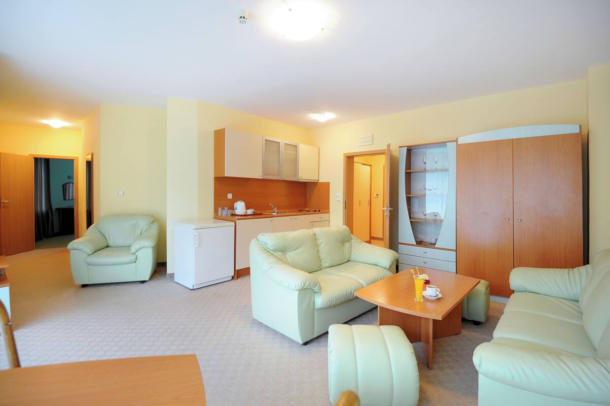 Minibar, iron/ironing board (on request), rollaway beds