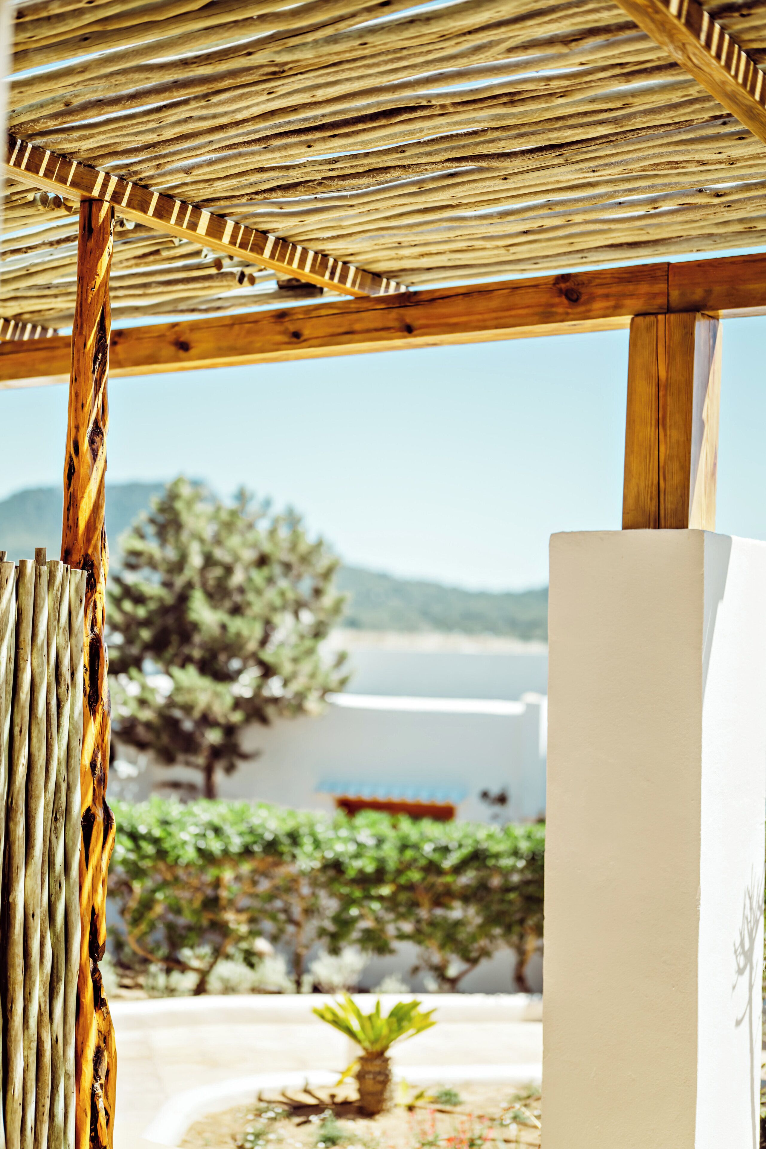 Suite, Sea View (Bougainvillea) | Premium bedding, down comforters, memory foam beds, minibar