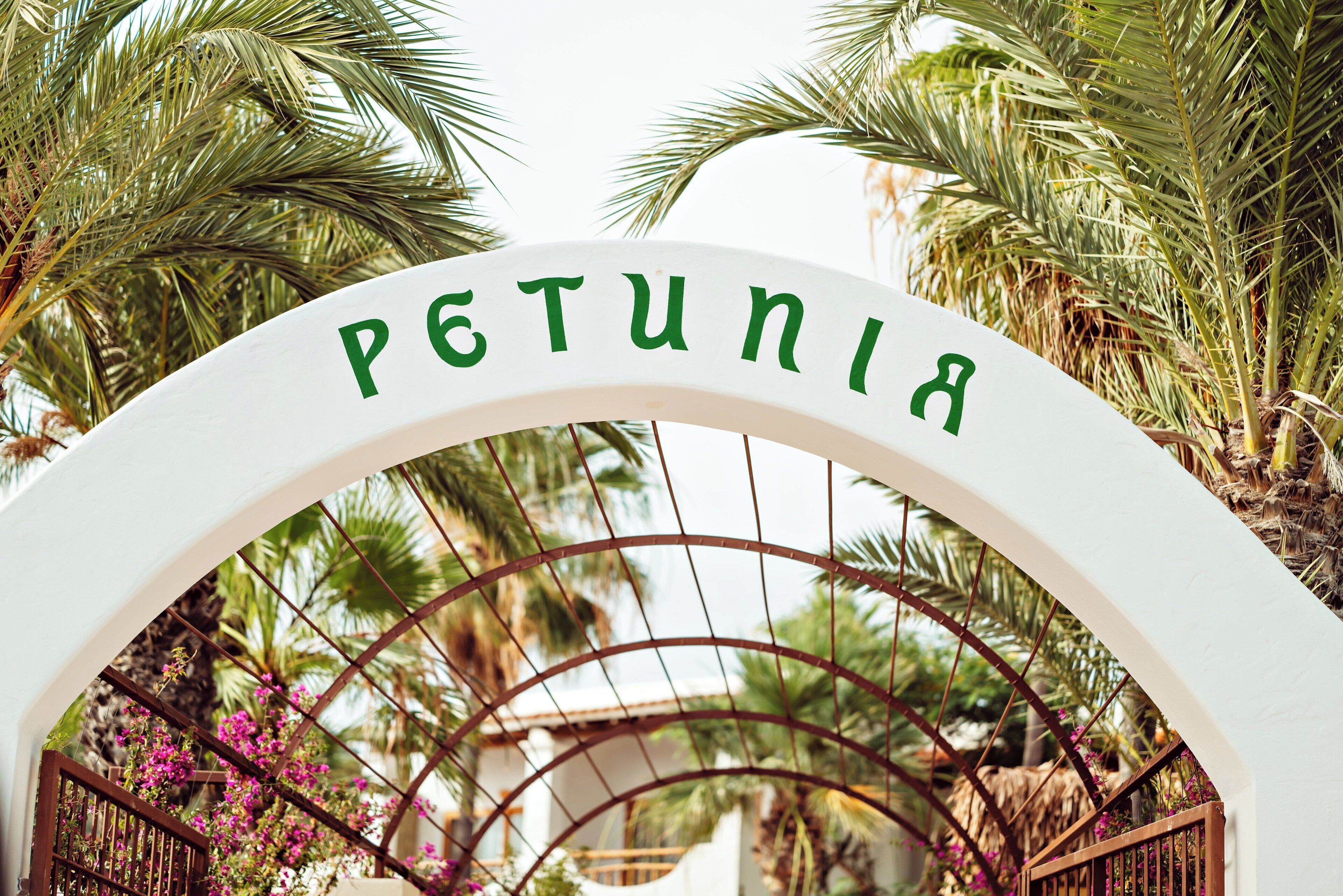 Photo - Petunia Ibiza, a Beaumier Hotel