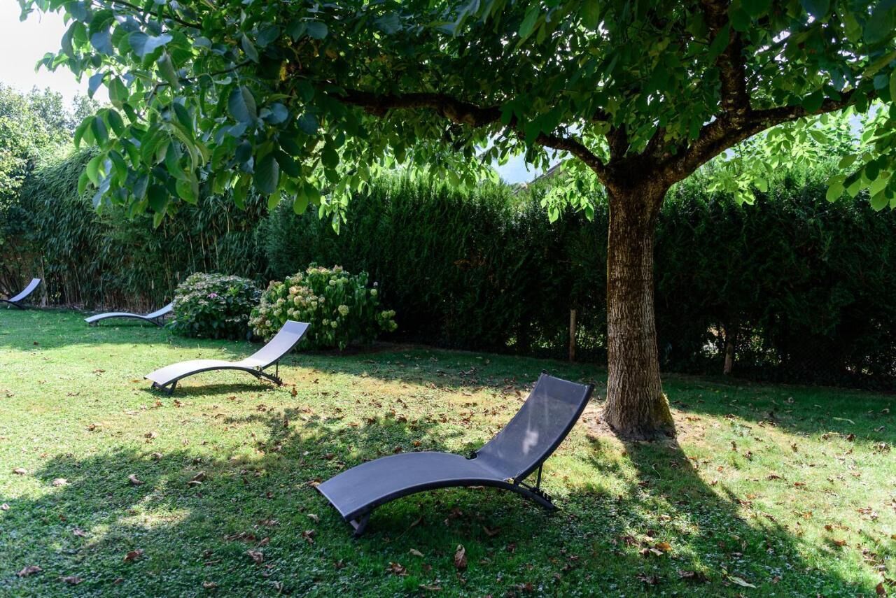 Un jardín con dos sillones de descanso bajo un árbol.