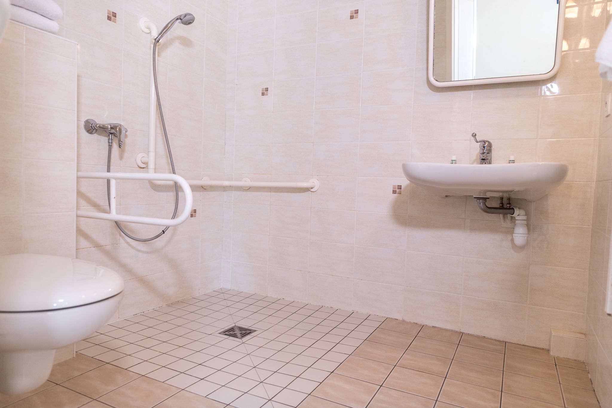 A bathroom with a toilet, a shower with a grab bar, and a sink.