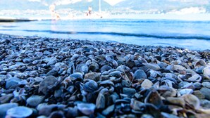 Una playa con un primer plano rocoso y vistas al mar y a las montañas de fondo.