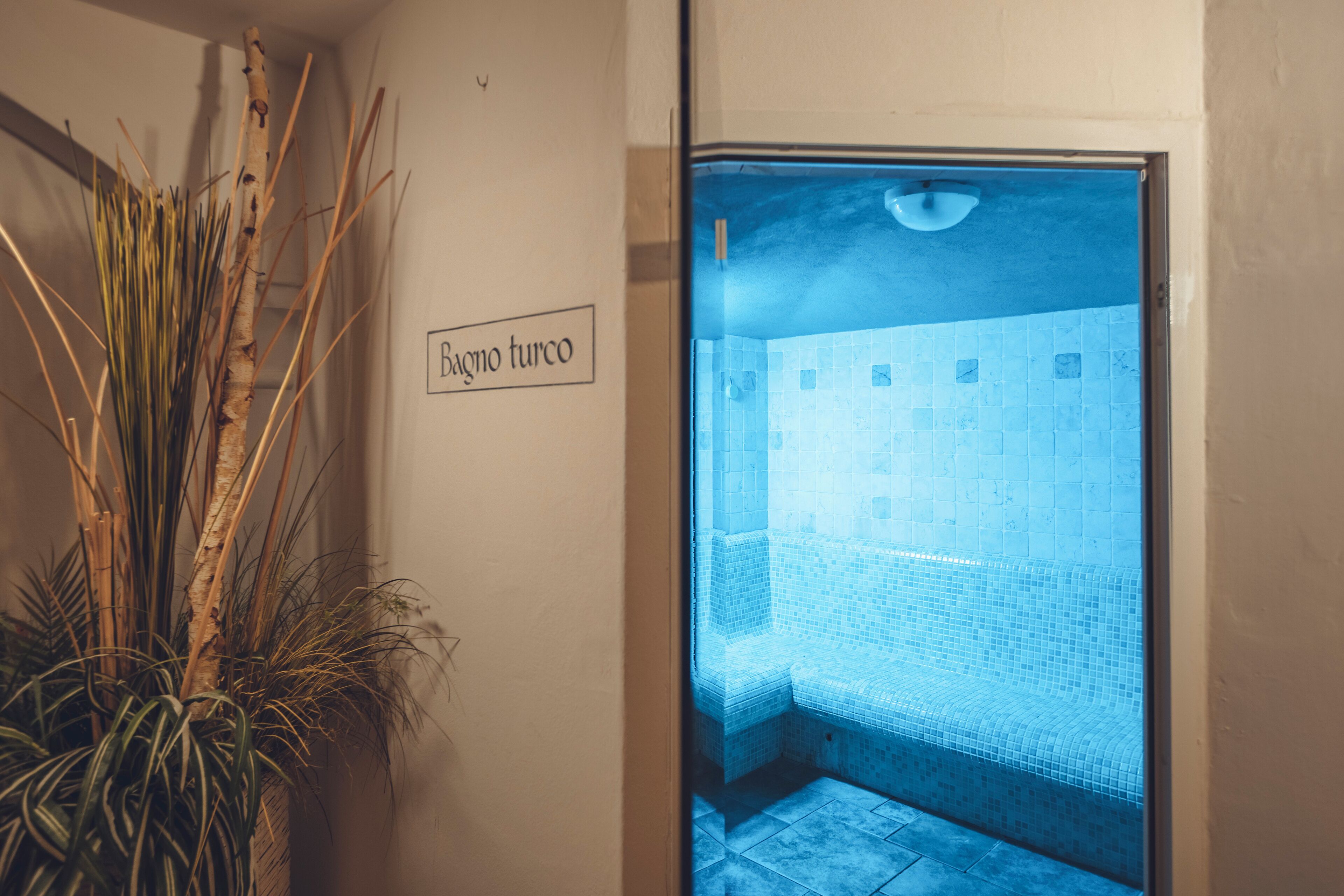 A bathroom with a blue-tiled wall and a sign that reads "Bagno turco".