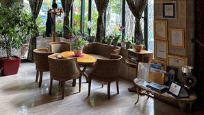 Une pièce spacieuse avec un plafond haut, de grandes fenêtres dotées de rideaux et une variété de plantes en pot.