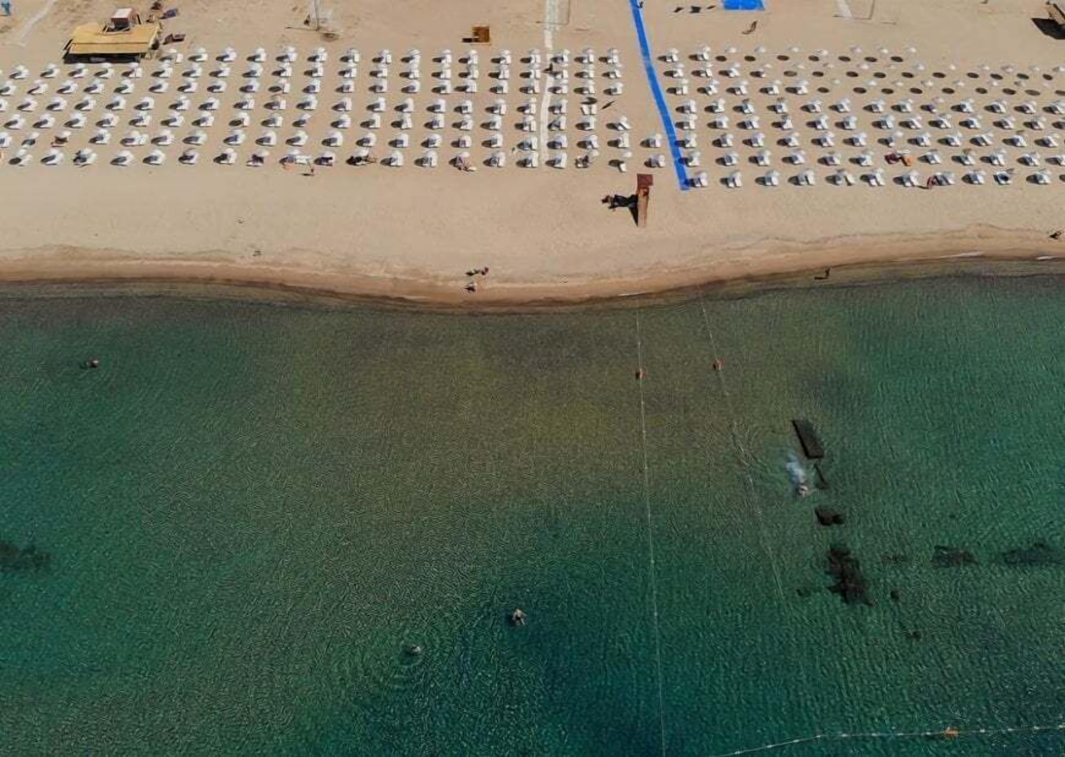 White sand, sun-loungers, beach umbrellas, beach volleyball