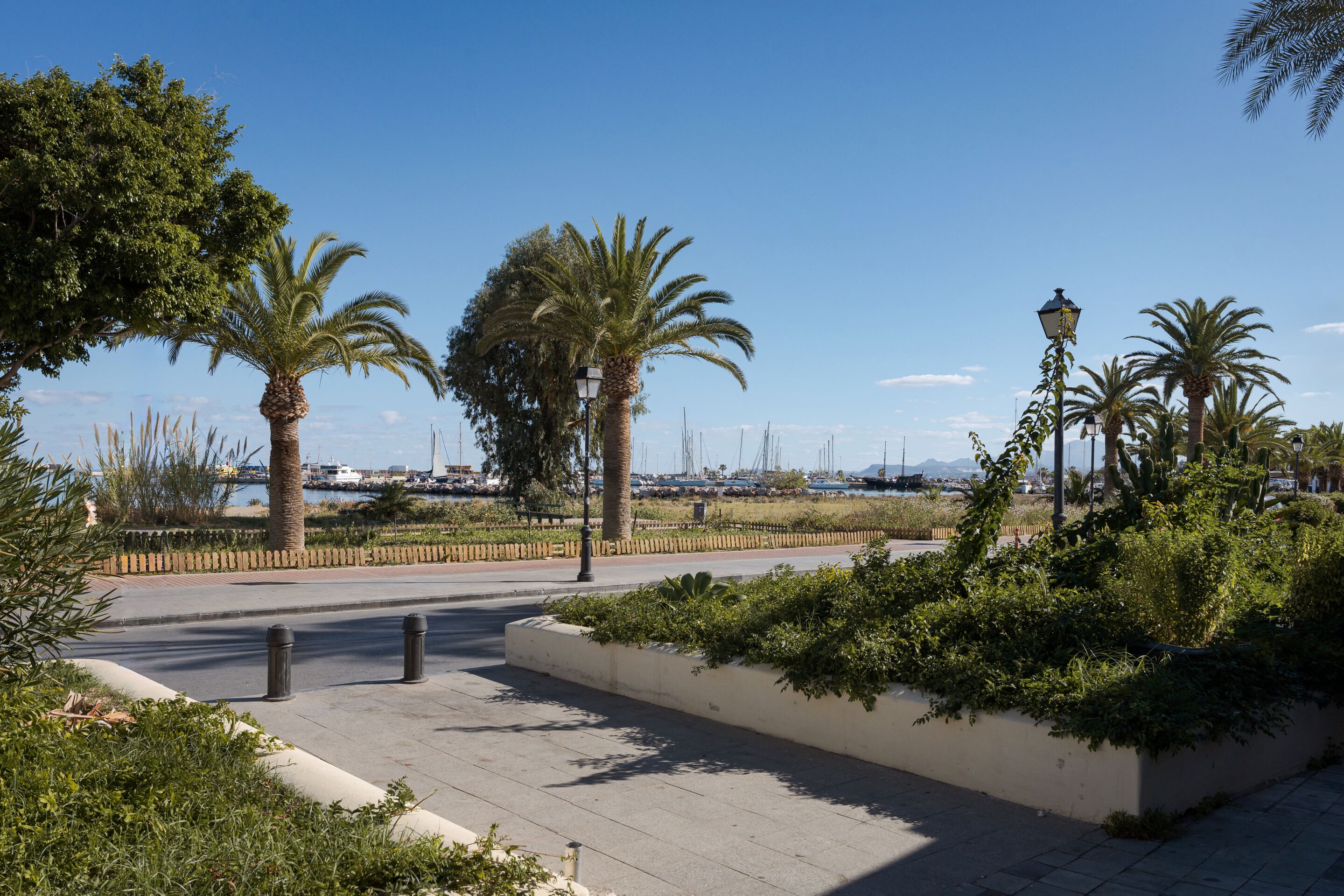 Foto - Civitas Suites Hotel