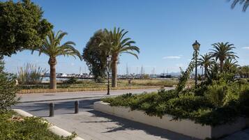 A paved walkway with palm trees and a view of boats in the distance.