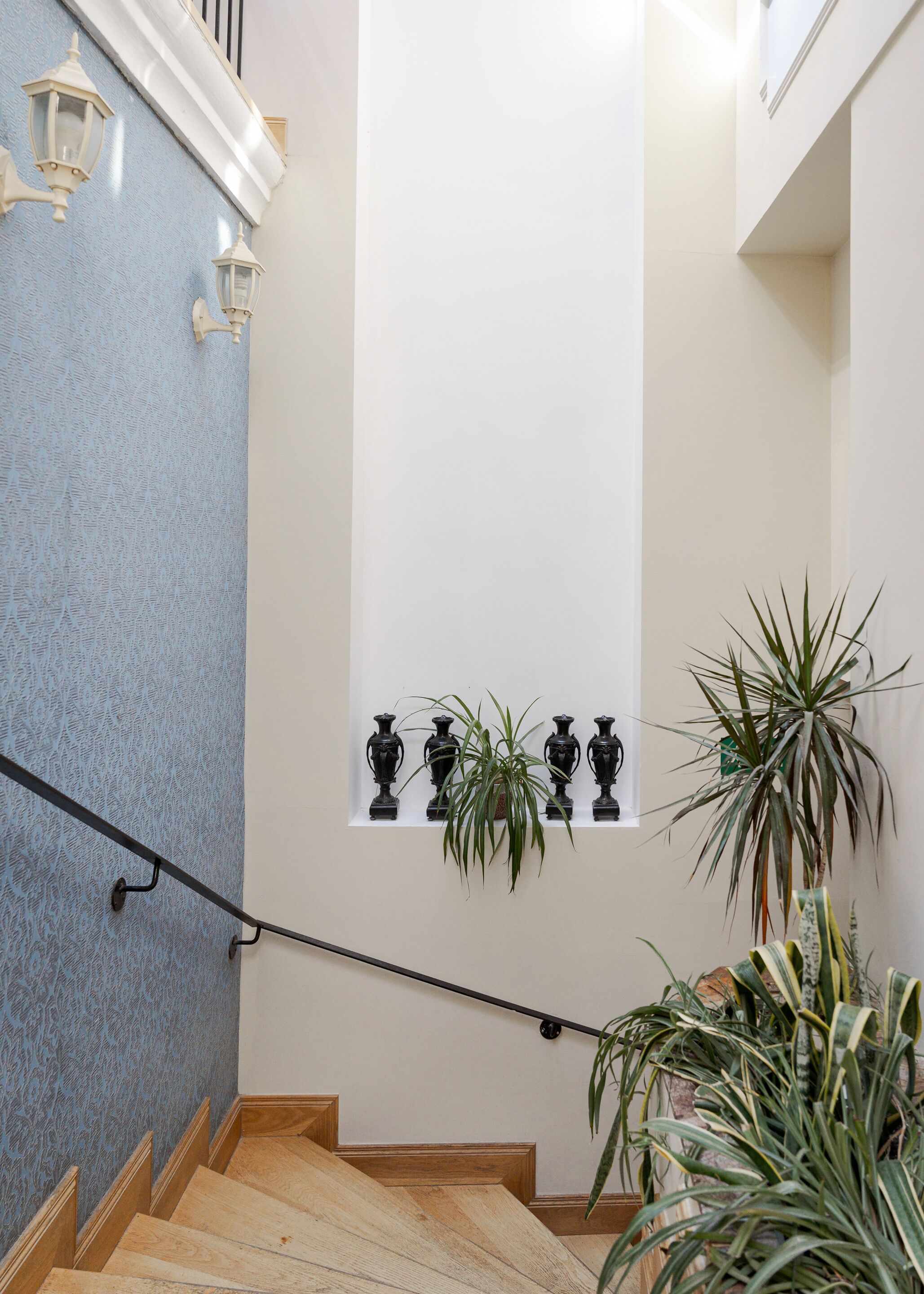 A staircase with a wooden handrail, a blue textured wall, and a white wall with black vases and plants.