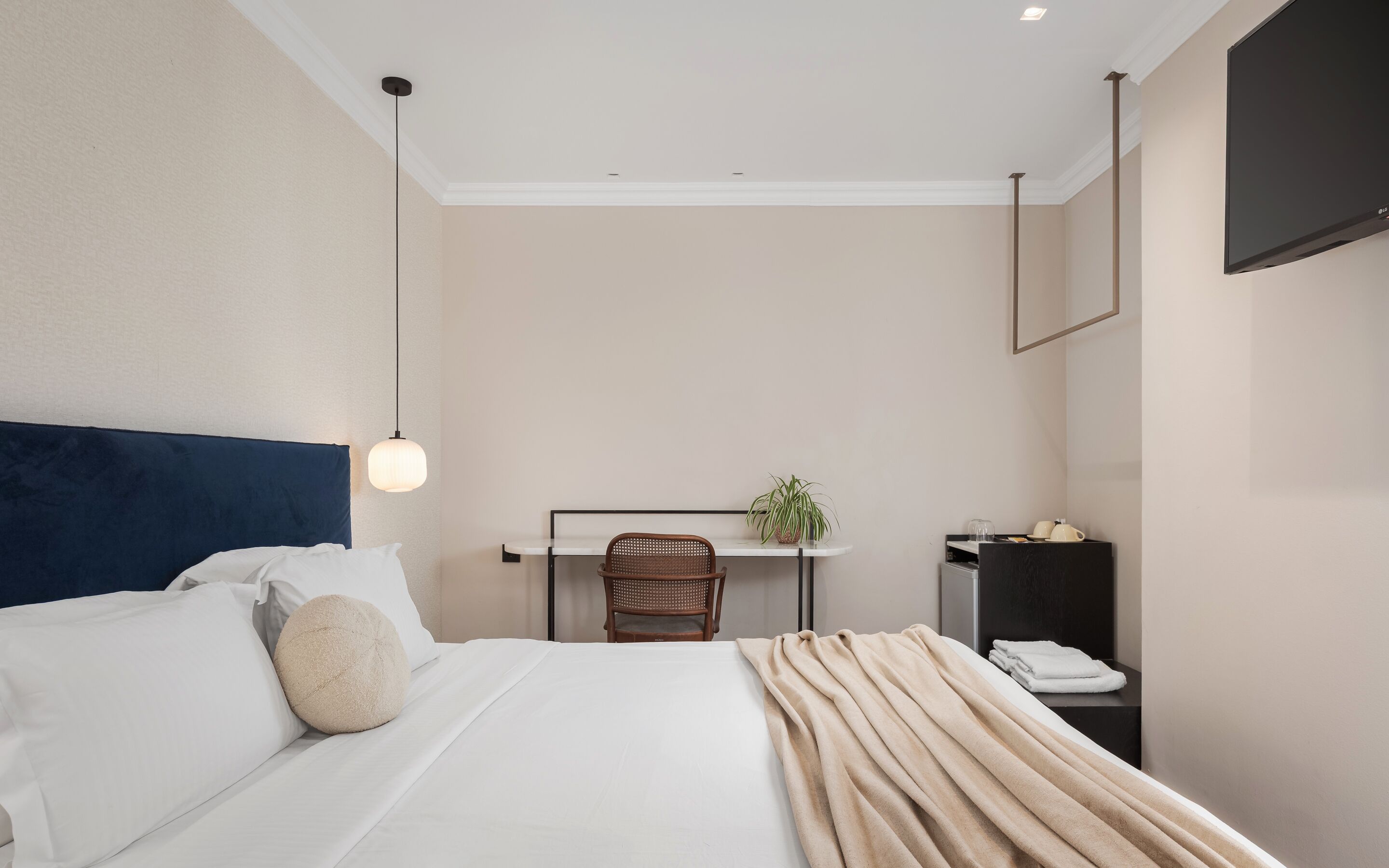 A hotel room with a bed, a desk, a chair, a TV, and a plant.
