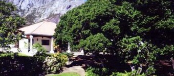 Milkwood Lodge - Hermanus