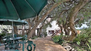 A paved pathway leading to a building, surrounded by trees and outdoor seating with green umbrellas. - Milkwood Lodge - Hermanus (Hermanus)