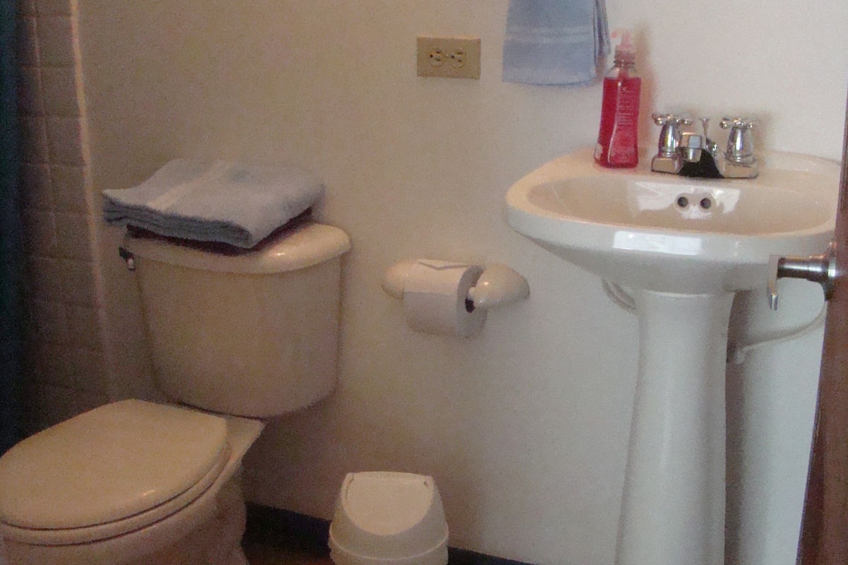 standard double room | bathroom | shower, towels