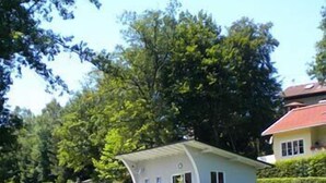 Une maison avec une piscine, entourée d’une végétation luxuriante et d’arbres.