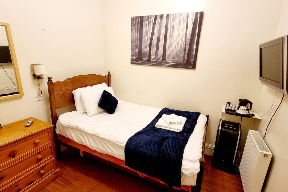A neatly arranged bedroom with a wooden bed, a bedside table, a dresser, a mirror, a painting, a television, and a radiator.
