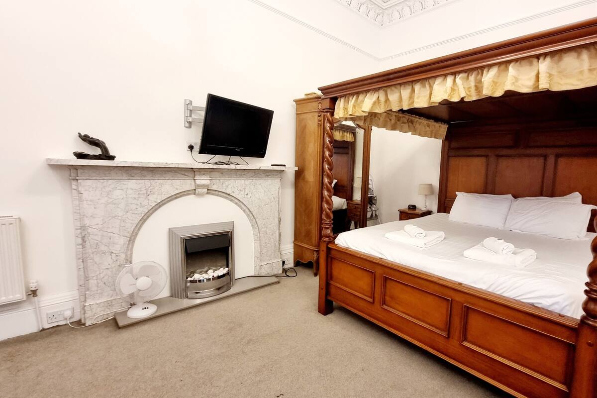 A four-poster bed with a canopy, a fireplace, and a television on a stand.