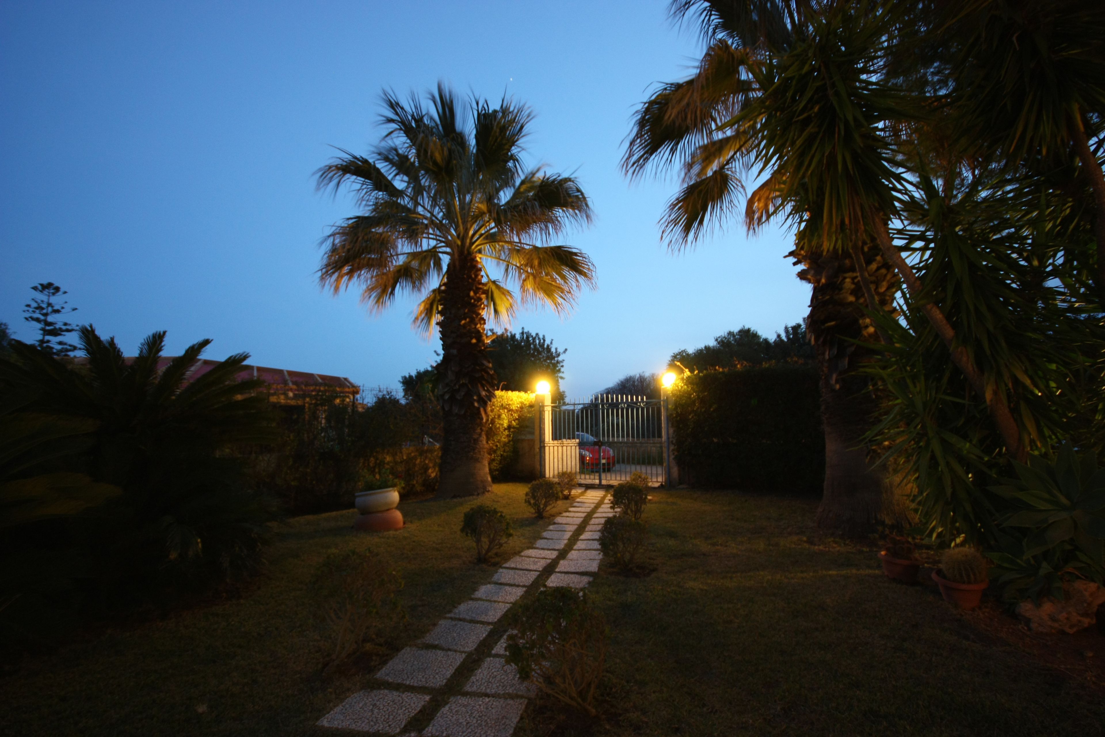 A pathway leading to a gated area with palm trees and a building in the background.