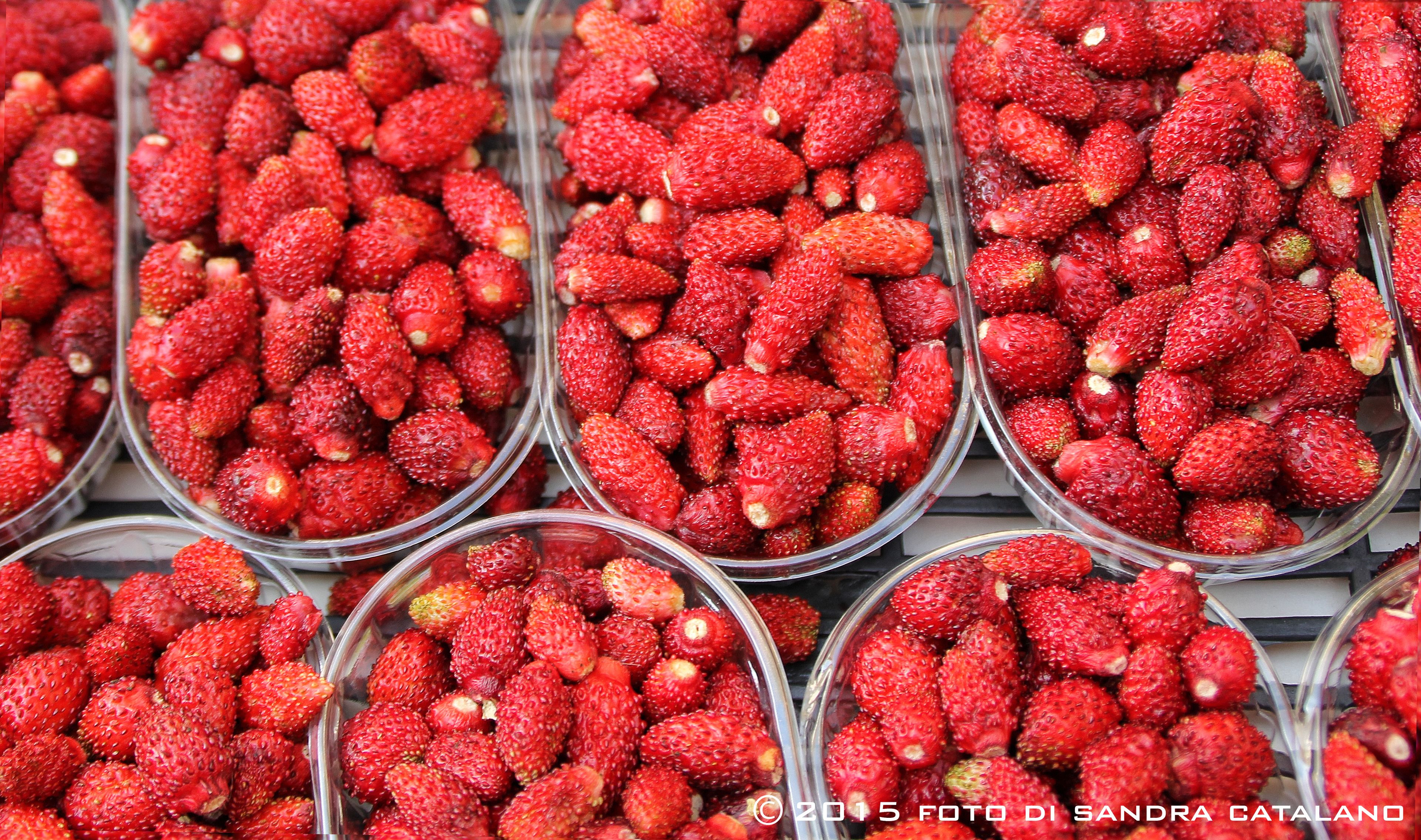 Recipientes de plástico transparente con fresas.