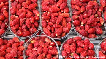 Recipientes de plástico transparente con fresas.