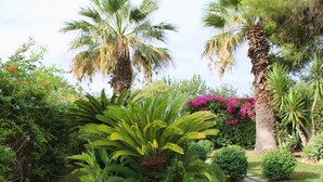 A garden with palm trees, a fern, and pink flowers. - Suite House L'isola che non c'è (Syracuse)