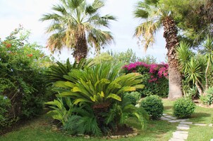 Jardín