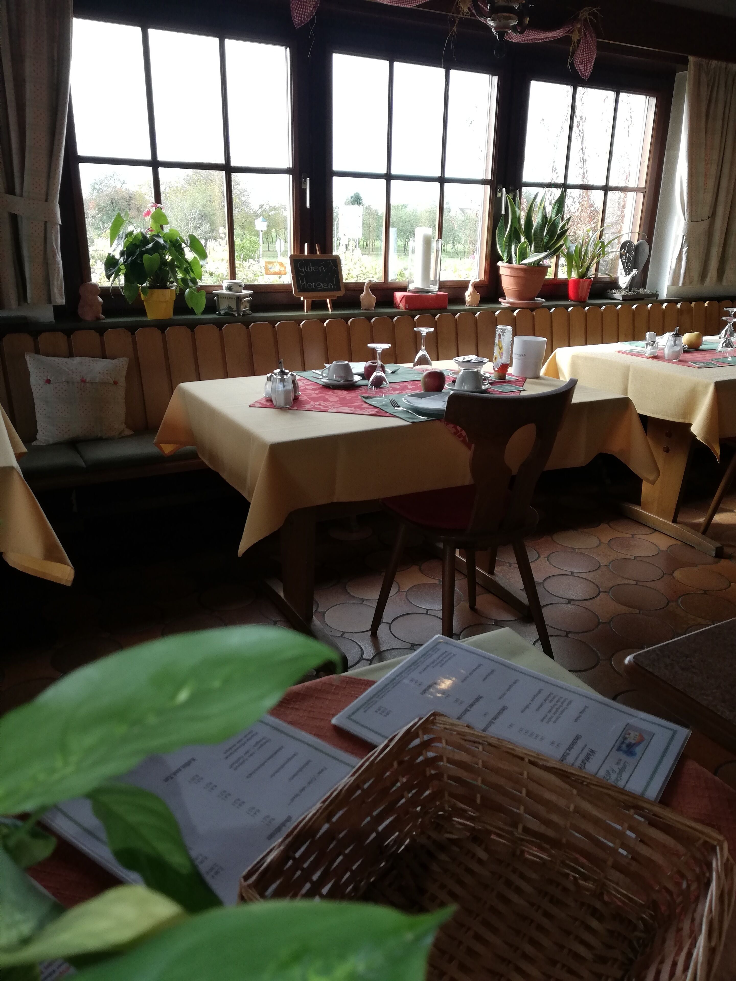 free daily continental breakfast