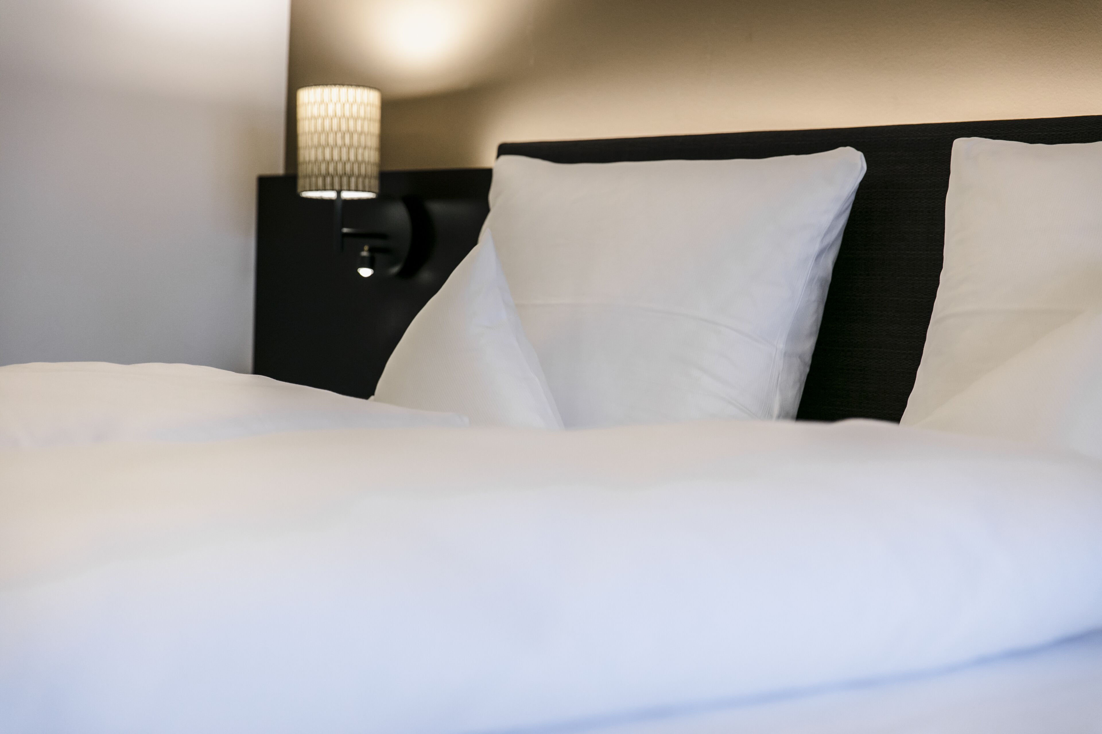 business double room, 1 double bed, accessible | hypo-allergenic bedding, minibar, in-room safe, desk