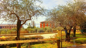 Vista de un parque con árboles, un banco y un edificio al fondo.
