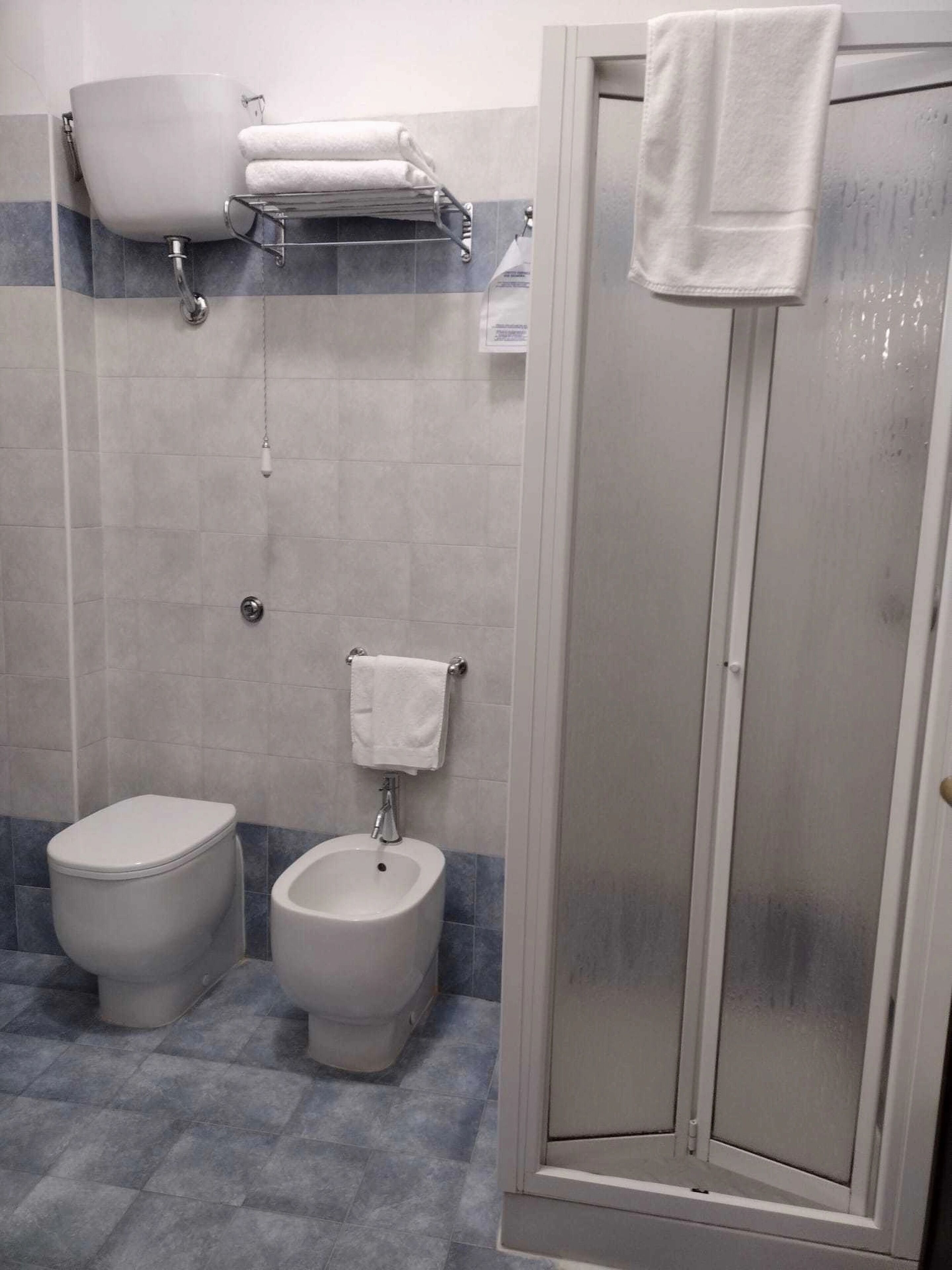 shower, free toiletries, hair dryer, bidet