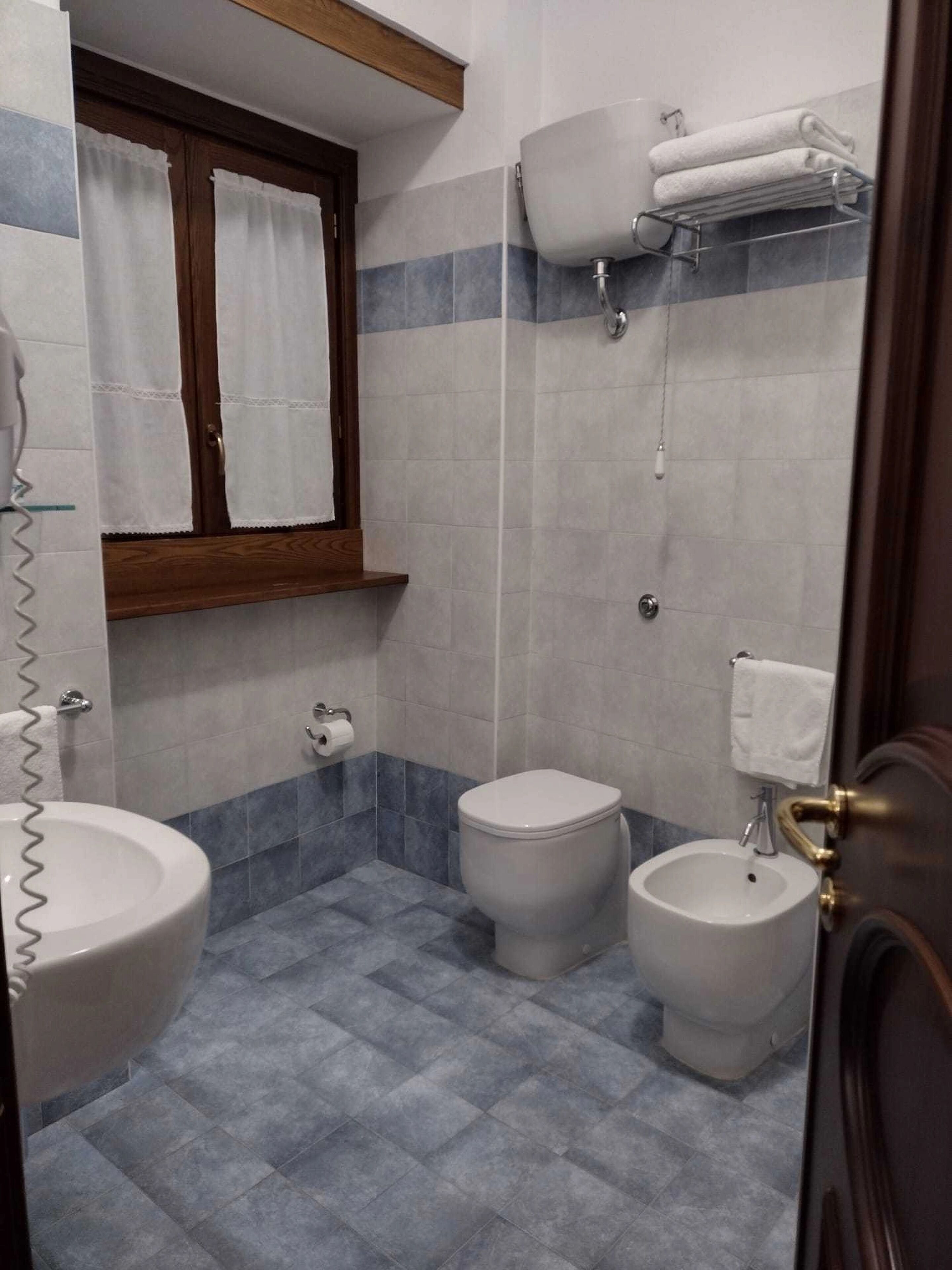 shower, free toiletries, hair dryer, bidet