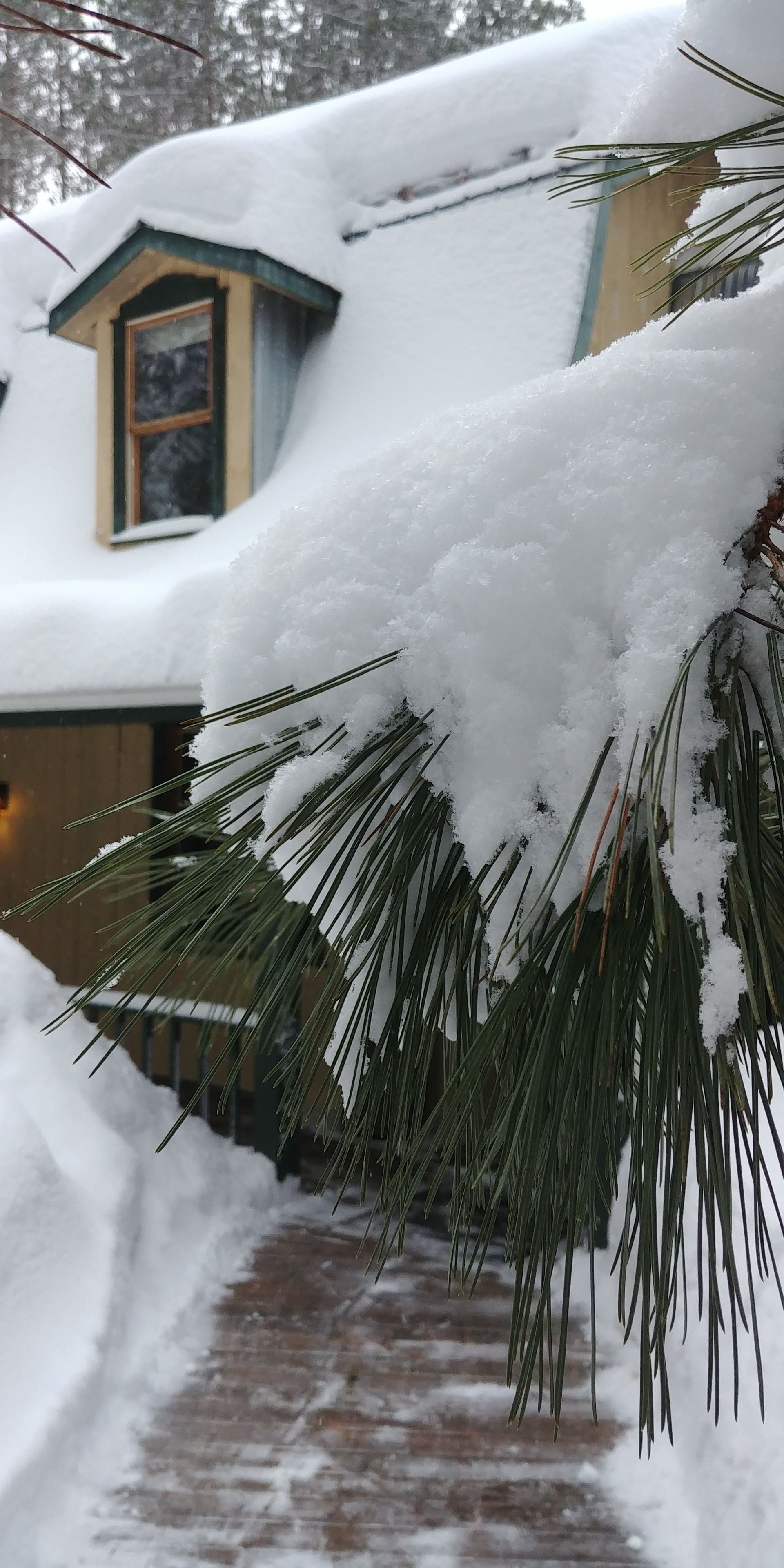Une maison recouverte de neige, avec une fenêtre visible et un chemin de briques menant à l’entrée.
