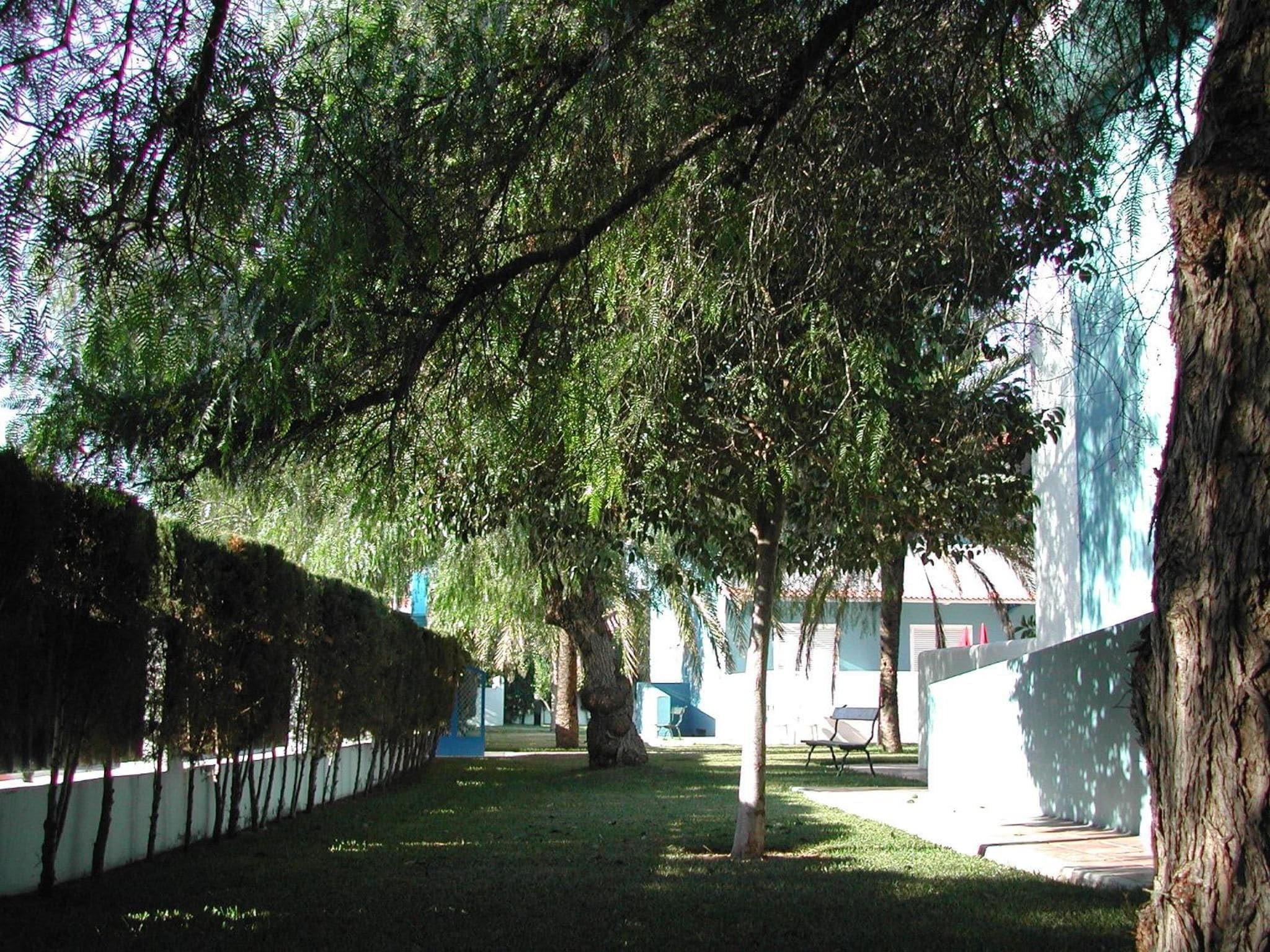 Un sentier bordé d’arbres et un bâtiment en arrière-plan.