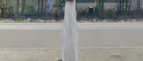 A water feature with a jet stream in a pool, surrounded by bamboo plants.