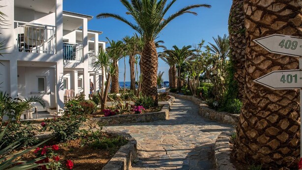 A pathway lined with palm trees and flowers, leading to a building with balconies. - Happy Days Hotel (Apokoronas)