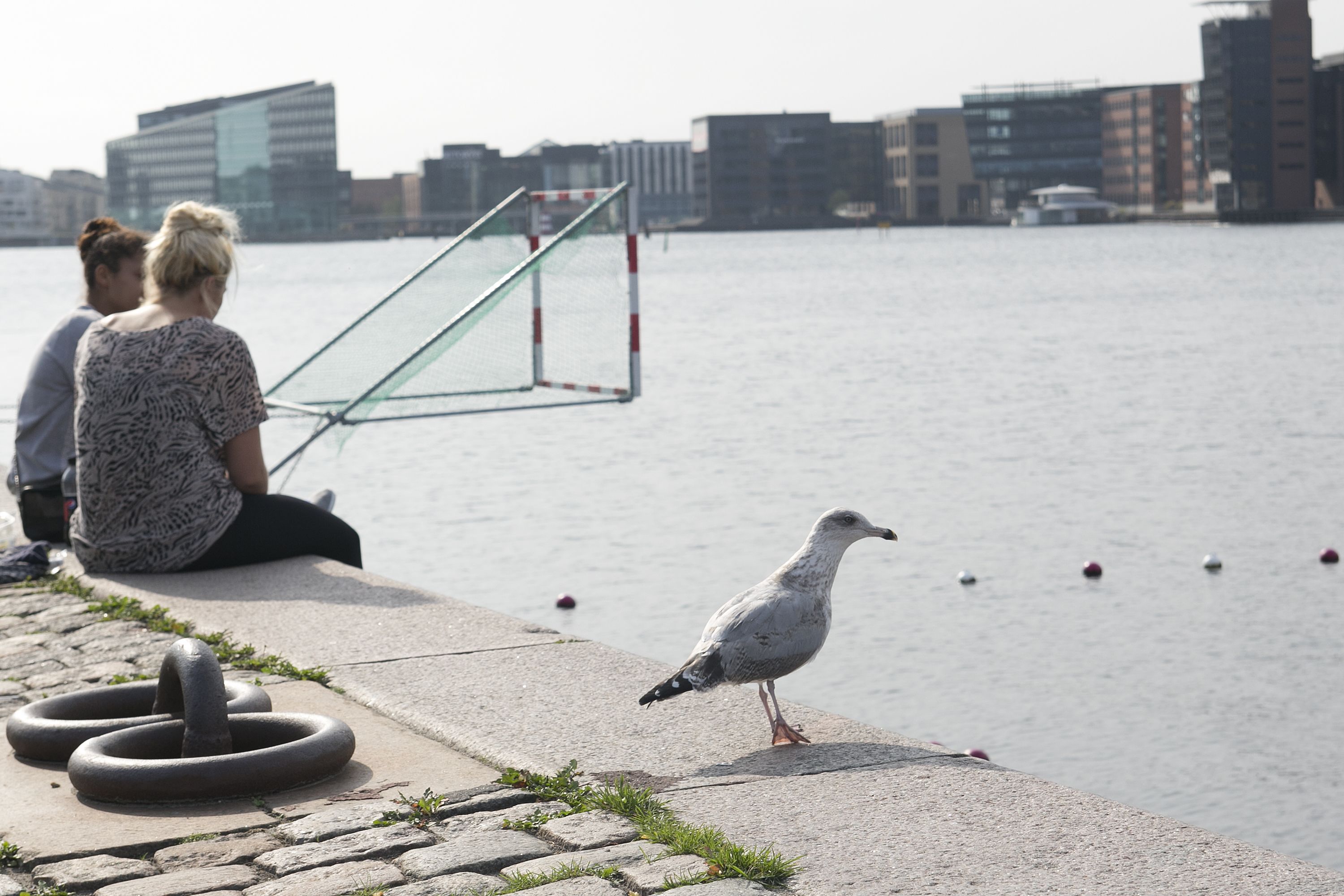 Photo - Hotel Copenhagen Apartments
