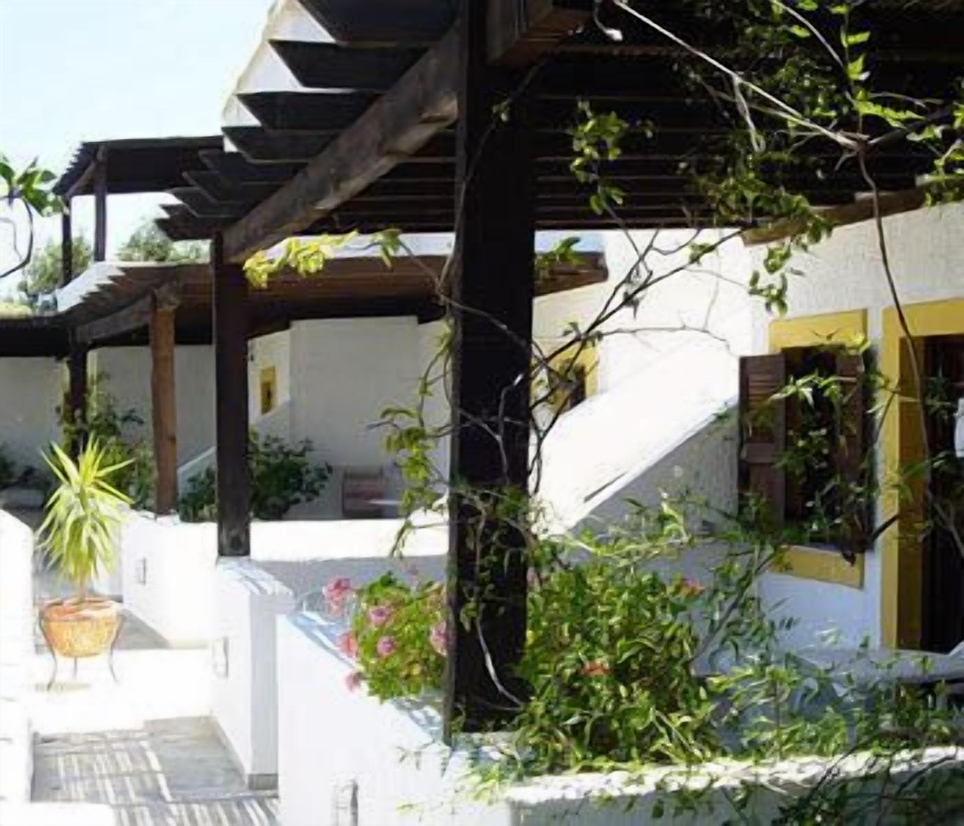 A covered outdoor area with a pergola, potted plants, and a white building with a yellow door.