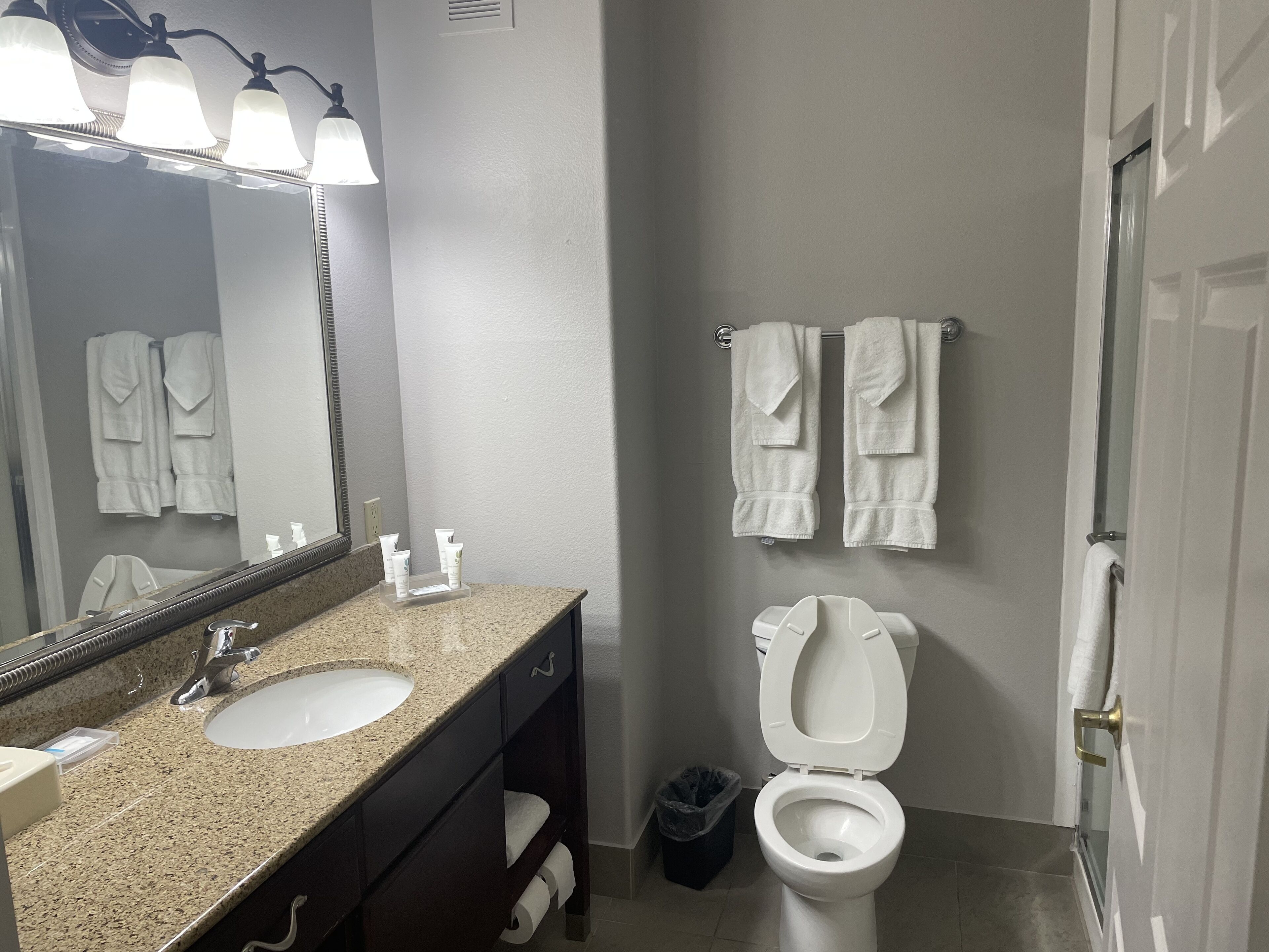 studio suite, 1 king bed, non smoking | bathroom | free toiletries, hair dryer, towels