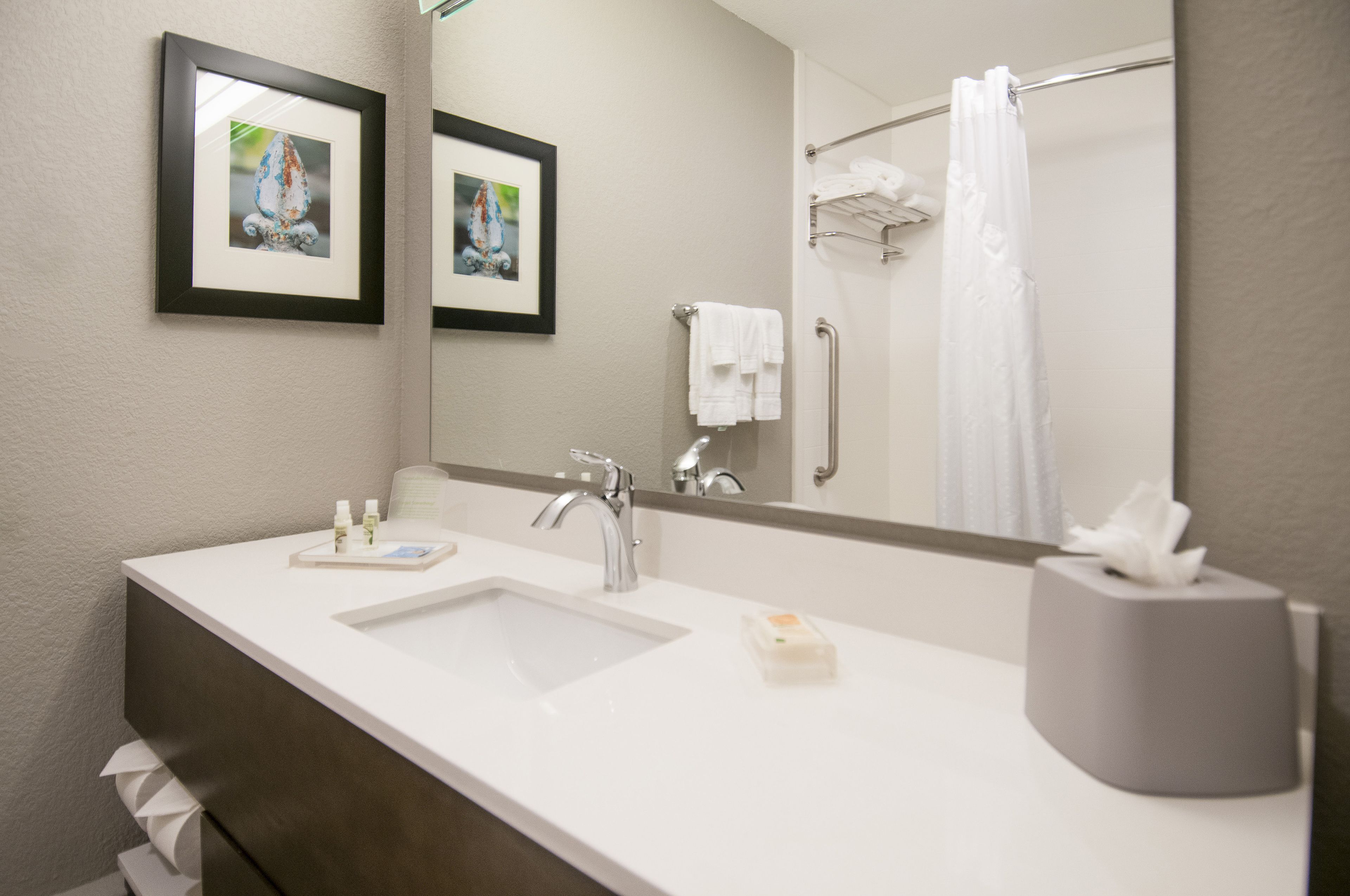 combined shower/bathtub, free toiletries, hair dryer, towels