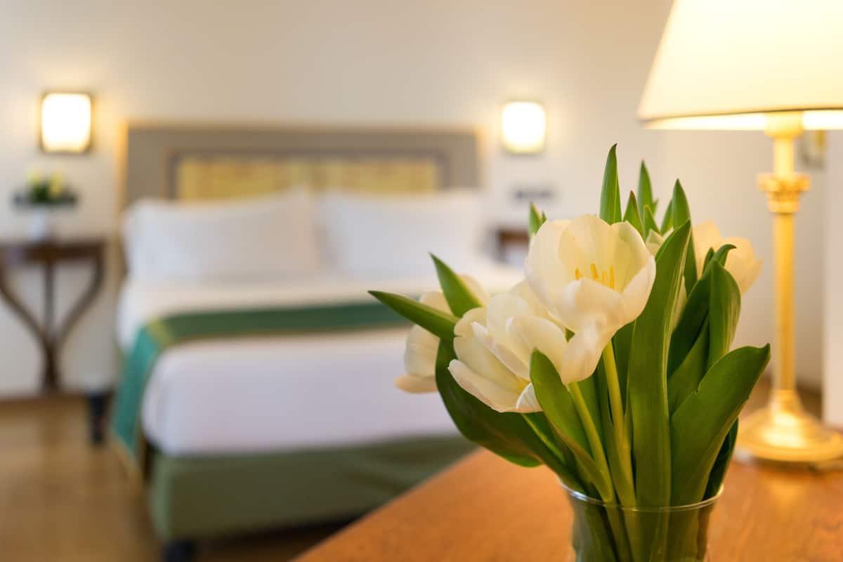 Literie de qualité supérieure, couette en duvet d'oie, minibar