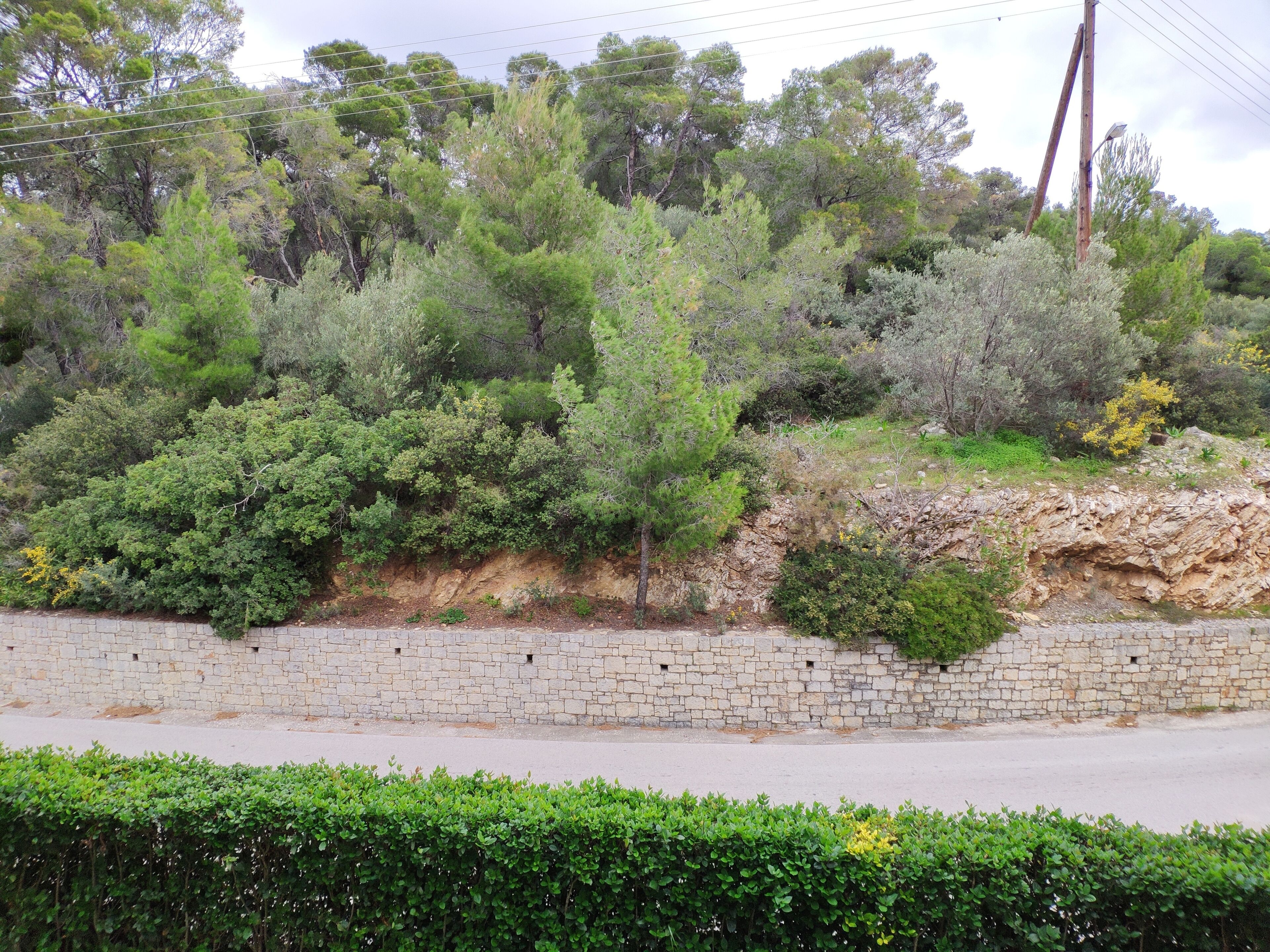 classic double room | view from room