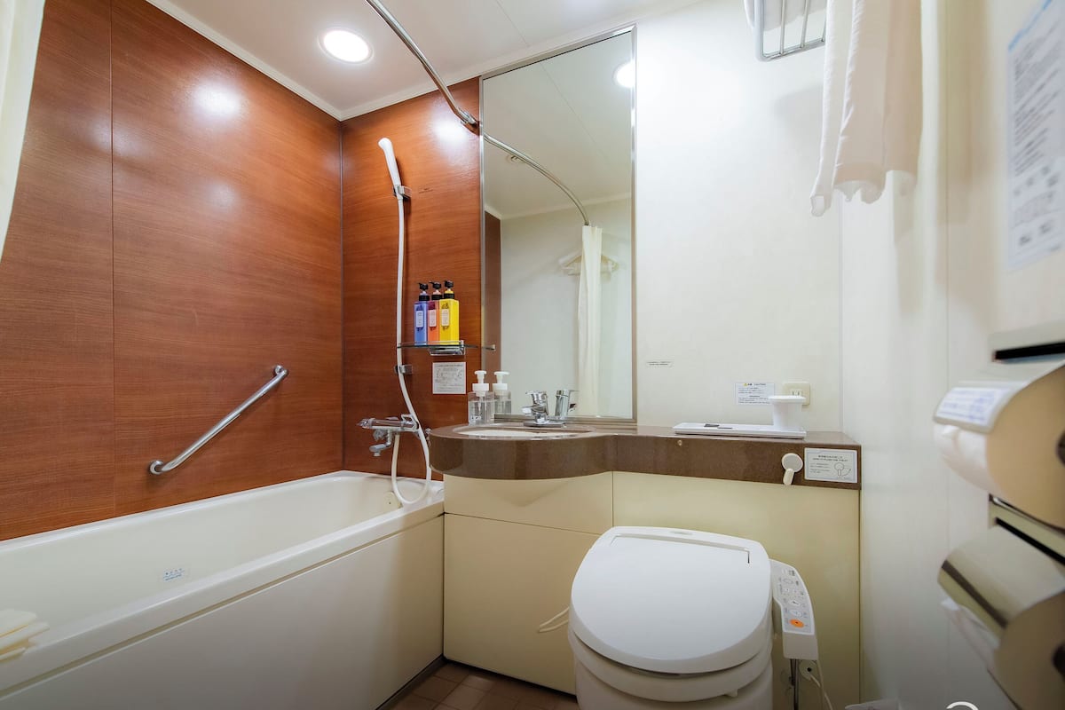 Combined shower/bathtub, free toiletries, hair dryer, slippers