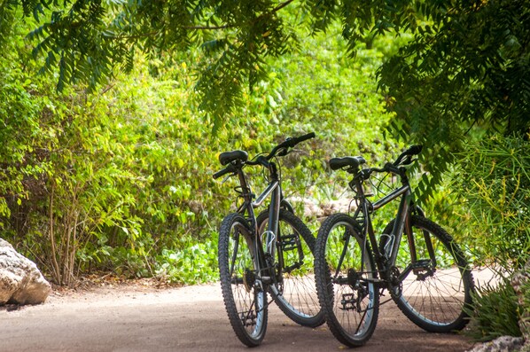 Two bicycles parked on a paved path surrounded by dense green foliage. - The Charming Lonno Lodge (Watamu)