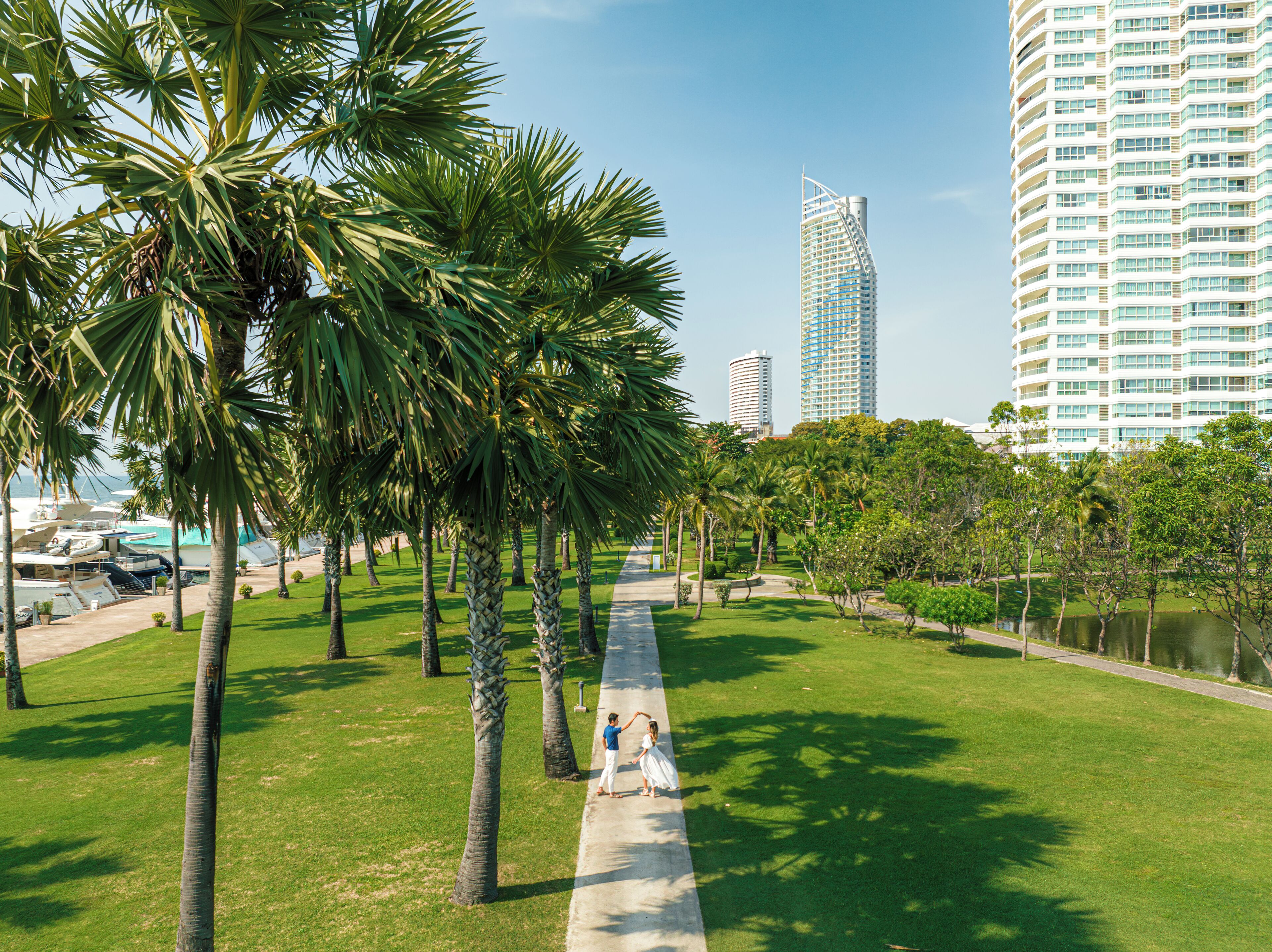 Land view from property