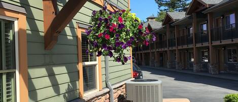 A building with a stone foundation, a green exterior, and a hanging flower basket.
