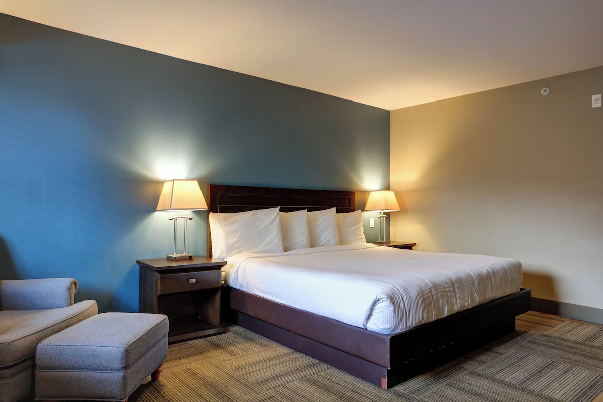 Standard Room, 1 King Bed | Premium bedding, down comforters, pillowtop beds, desk