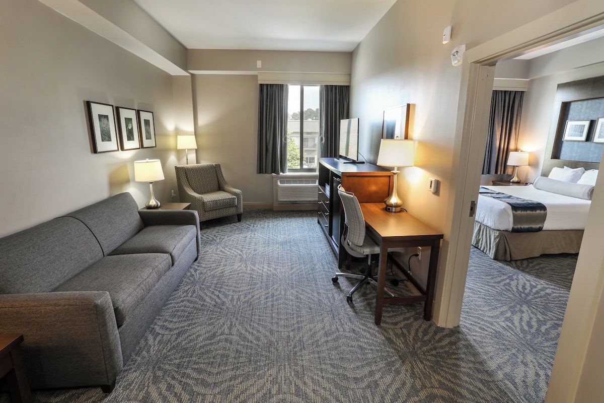 A hotel room with a sofa, a desk, a chair, a bed, and a view of the outdoors through the window.