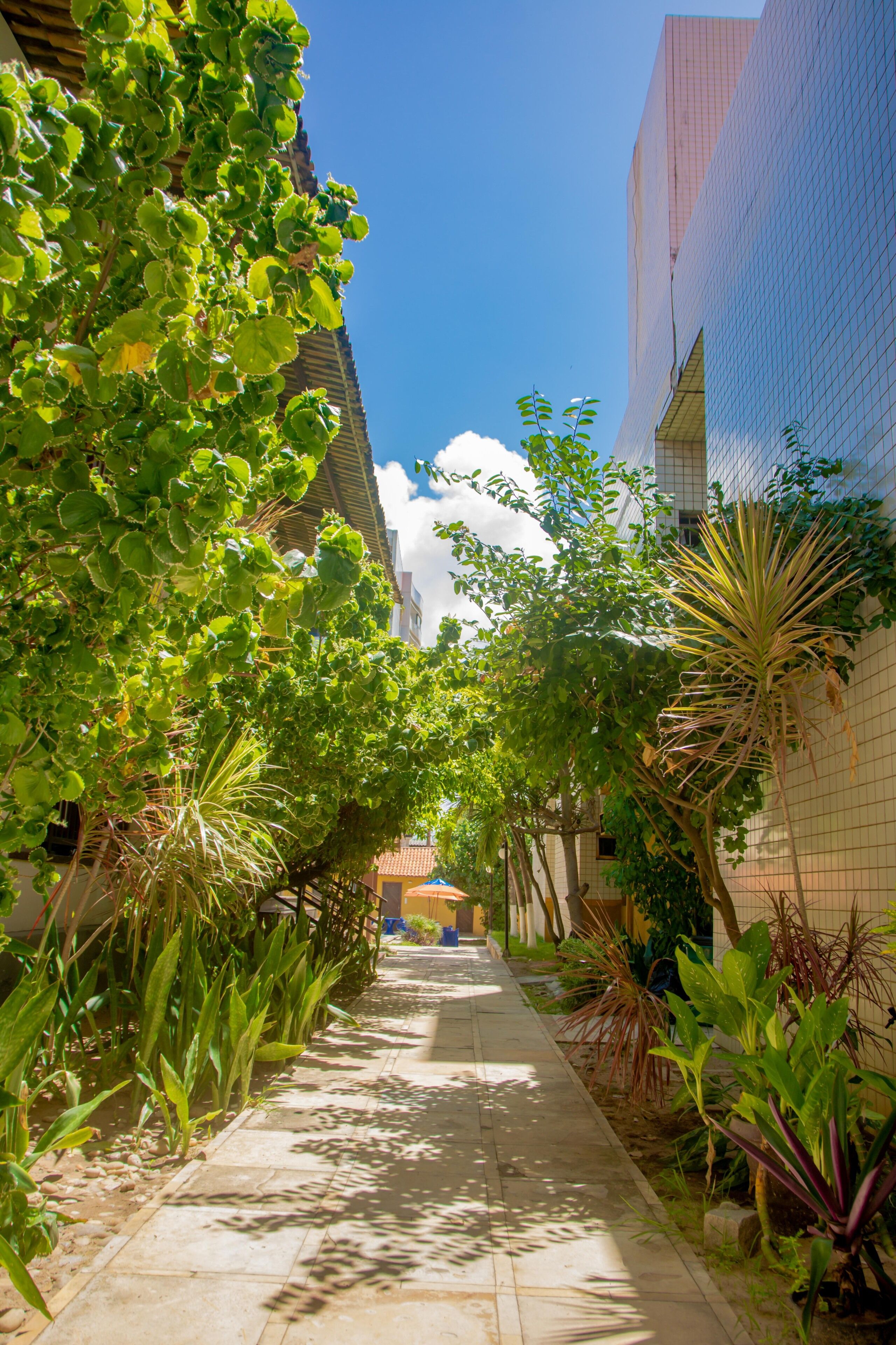 Foto - Sol Praia Marina Hotel